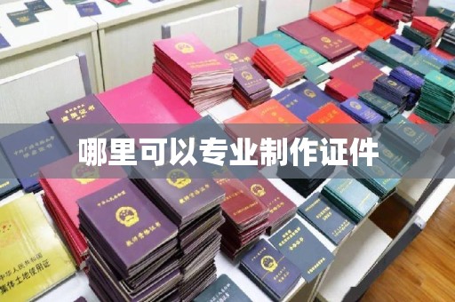 阿莲哪里可以专业制作证件