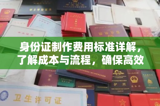 阿莲身份证制作费用标准详解，了解成本与流程，确保高效办理
