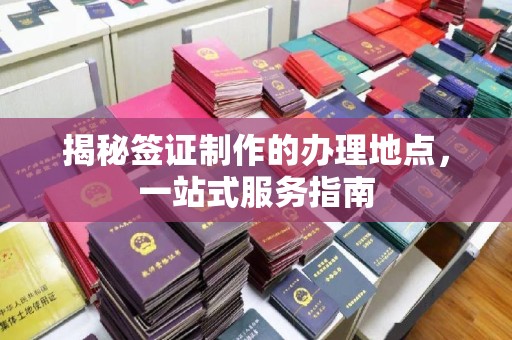阿莲揭秘签证制作的办理地点，一站式服务指南