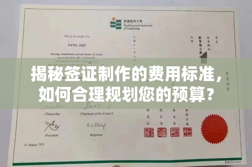 阿莲揭秘签证制作的费用标准，如何合理规划您的预算？