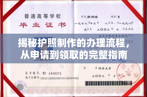 阿莲揭秘护照制作的办理流程，从申请到领取的完整指南