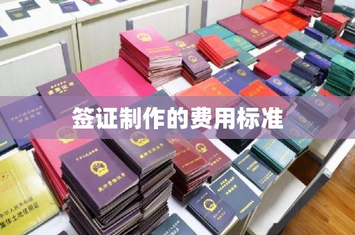 阿莲签证制作的费用标准