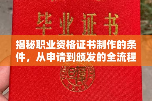 阿莲揭秘职业资格证书制作的条件，从申请到颁发的全流程解析