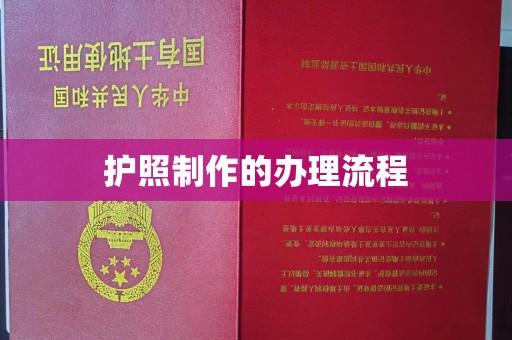 阿莲护照制作的办理流程