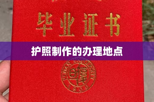 阿莲护照制作的办理地点