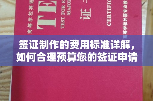 阿莲签证制作的费用标准详解，如何合理预算您的签证申请成本