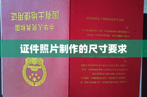 阿莲证件照片制作的尺寸要求